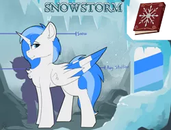 Size: 5968x4542 | Tagged: safe, artist:beardie, derpibooru import, oc, oc:snowstorm, alicorn, pony, alicorn oc, book, horn, male, reference sheet, smiling, stallion, wings