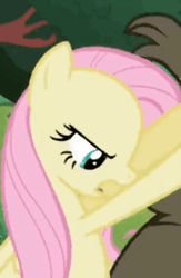 Size: 287x440 | Tagged: safe, derpibooru import, edit, screencap, fluttershy, harry, bear, pegasus, pony, lesson zero, season 2, angry, animated, context is for the weak, cropped, invisible stallion, out of context
