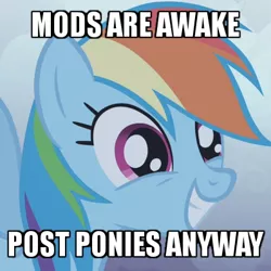 Size: 400x400 | Tagged: safe, derpibooru import, edit, edited screencap, screencap, rainbow dash, pegasus, pony, friendship is magic, caption, cropped, cute, dashabetes, female, grin, image macro, mare, meme, mods are asleep, mods are asleep post ponies, post ponies, smiling, solo, spread wings, squee, text, wide eyes, wings