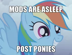 Size: 676x514 | Tagged: safe, derpibooru import, edit, edited screencap, screencap, rainbow dash, pegasus, pony, friendship is magic, artifact, caption, cropped, female, image macro, mare, meme, mods are asleep, mods are asleep post ponies, post ponies, smiling, solo, text