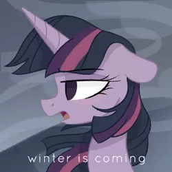 Size: 1024x1024 | Tagged: safe, artist:herfaithfulstudent, derpibooru import, twilight sparkle, twilight sparkle (alicorn), alicorn, pony, unicorn, blushing, game of thrones, serious, serious face, solo, talking, text, twilight starkle, wind, windswept mane, winter is coming