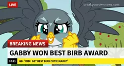 Size: 1275x678 | Tagged: birb, breaking news, caption, cute, derpibooru import, edit, edited screencap, gabby, gabbybetes, happy, image macro, sad description, safe, screencap, text, the fault in our cutie marks