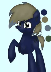 Size: 1000x1414 | Tagged: safe, artist:joel jacob, derpibooru import, oc, oc:joel jacob, earth pony, pony, fluffy, male, simple background, solo