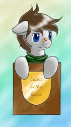 Size: 422x750 | Tagged: safe, artist:marikaefer, artist:phoenixswift, derpibooru import, oc, oc:fuselight, pegasus, pony, male, solo, stallion