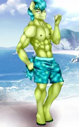 Size: 800x1280 | Tagged: anthro, artist:littlebird, beach, canon, clothes, commission, derpibooru import, handsome, male, muscles, partial nudity, ripped, safe, sandbar, stupid sexy sandbar, topless, unguligrade anthro