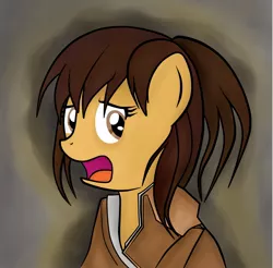 Size: 1026x1010 | Tagged: safe, artist:dmatias19, derpibooru import, ponified, pony, attack on titan, sasha braus