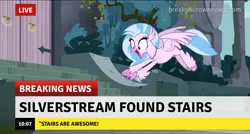 Size: 1274x682 | Tagged: breaking news, break your own news, captain obvious, classical hippogriff, cute, derpibooru import, diastreamies, edit, edited screencap, female, hippogriff, news, no shit sherlock, safe, school daze, screencap, silverstream, solo, stairs, teenager, that hippogriff sure does love stairs