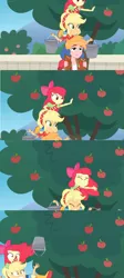 Size: 1600x3568 | Tagged: safe, derpibooru import, edit, edited screencap, screencap, apple bloom, applejack, big macintosh, equestria girls, equestria girls series, holidays unwrapped, spoiler:eqg series (season 2), apple, apple tree, balancing, bucket, carrying, comic, falling, fence, food, losing balance, on top, screencap comic, tree