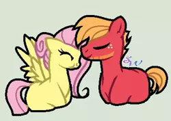 Size: 410x290 | Tagged: safe, artist:brendalobinha, derpibooru import, edit, big macintosh, fluttershy, earth pony, pegasus, pony, base used, beard, eyes closed, facial hair, female, fluttermac, forehead kiss, freckles, green background, hair bun, kissing, male, mare, missing cutie mark, puffy cheeks, shipping, simple background, spread wings, stallion, straight, wings