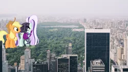 Size: 3840x2168 | Tagged: safe, artist:dashiesparkle, artist:itv-canterlot, derpibooru import, applejack, coloratura, pony, central park, countess coloratura, duo, female, giant pony, giantess, highrise ponies, irl, macro, new york, photo, story included