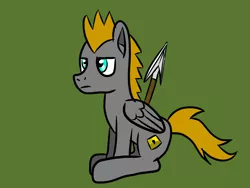 Size: 1024x768 | Tagged: safe, artist:platinumdrop, derpibooru import, oc, oc:platinumdrop, unofficial characters only, pegasus, pony, male, simple background, solo, spear, stallion, weapon