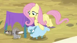 Size: 1920x1080 | Tagged: safe, derpibooru import, screencap, fluttershy, pony, rabbit, sheep, weasel, growing up is hard to do, animal, tiny ewes