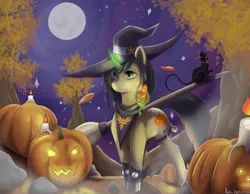 Size: 2560x1987 | Tagged: safe, artist:kelniferion, derpibooru import, oc, unofficial characters only, cat, pony, unicorn, bracelet, broom, full moon, glowing horn, halloween, hat, holiday, horn, leaves, magic, moon, night, pumpkin, solo, spiked wristband, telekinesis, witch hat, wristband