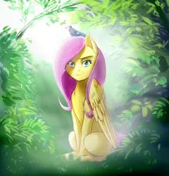 Size: 1460x1520 | Tagged: safe, artist:lorenz3, artist:notaletolivefor, derpibooru import, fluttershy, bird, pegasus, pony, female, looking at you, mare, sitting, solo