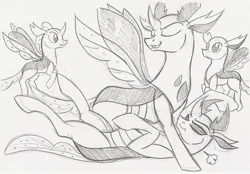 Size: 2300x1603 | Tagged: artist:rossmaniteanzu, brothers, changedling, changedling brothers, changeling, cute, derpibooru import, doodle, eyes closed, king thorax, male, on back, pencil drawing, pharybetes, pharynx, pinned ya, prince pharynx, safe, siblings, sketch, straddling, thorabetes, thorax, traditional art