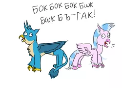 Size: 1400x1000 | Tagged: safe, artist:horsesplease, derpibooru import, gallus, silverstream, behaving like a chicken, behaving like a rooster, clucking, cyrillic, derp, female, gallstream, gallus the rooster, male, shipping, silverstream the hen, straight