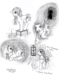 Size: 600x779 | Tagged: safe, artist:silverracoon, derpibooru import, oc, ponified, pony, 2011, amnesia the dark descent, daniel, g3, horror, horror game, solo, video game