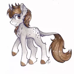 Size: 1972x1972 | Tagged: safe, artist:lightisanasshole, derpibooru import, oc, oc:dorm pony, pony, unicorn, brown eyes, brown mane, cheek fluff, chest fluff, ear fluff, female, fluffy, freckles, gray coat, hooves, leg fluff, looking back, next generation, raised hoof, remake, simple background, solo, tail, traditional art, transparent background, watercolor painting