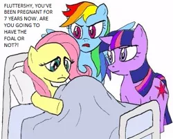 Size: 391x314 | Tagged: safe, artist:terry, derpibooru import, edit, fluttershy, rainbow dash, twilight sparkle, pegasus, pony, unicorn, alternate universe, bed, family guy, female, frown, hospital bed, mare, overdue, preggoshy, pregnant, rainbow douche, simple background, trio, unicorn twilight, white background