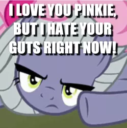 Size: 398x399 | Tagged: caption, cropped, derpibooru import, edit, edited screencap, image macro, limestone pie, pinkie pie, safe, screencap, solo focus, text, the maud couple