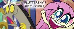 Size: 1500x600 | Tagged: safe, derpibooru import, edit, edited screencap, screencap, discord, fluttershy, draconequus, pegasus, pony, my little pony: pony life, caption, drama, duo, engrish, exuberant airdancer fluttershy, female, g4, grammar error, image macro, male, mare, pony life drama, text