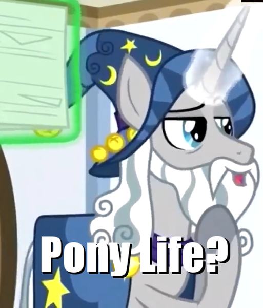 Size: 571x668 | Tagged: safe, derpibooru import, edit, edited screencap, screencap, star swirl the bearded, pony, unicorn, friendship university, caption, cropped, image macro, meme, solo, text