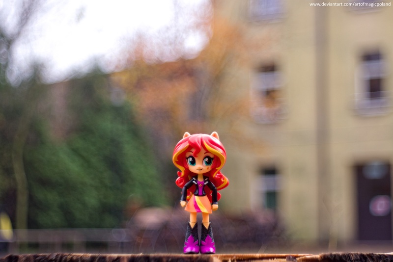 Size: 6016x4012 | Tagged: safe, artist:artofmagicpoland, derpibooru import, sunset shimmer, equestria girls, bokeh, doll, equestria girls minis, eqventures of the minis, solo, toy