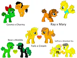 Size: 800x600 | Tagged: safe, artist:donamorteboo, derpibooru import, ponified, pony, pony creator, bean the dynamite, charmy bee, cosmo, cream the rabbit, heart, marine the raccoon, matilda the armadillo, miles "tails" prower, ray the flying squirrel, saffron bee, shipping, sonic the hedgehog (series), wombat stu