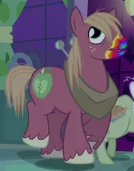 Size: 248x317 | Tagged: safe, derpibooru import, screencap, big macintosh, granny smith, earth pony, pony, 28 pranks later, cookie zombie, cropped, rainbow muzzle, solo focus