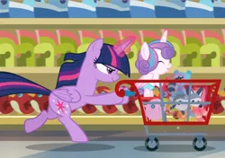 Size: 1336x938 | Tagged: safe, derpibooru import, screencap, princess flurry heart, twilight sparkle, twilight sparkle (alicorn), alicorn, pony, a flurry of emotions, aunt and niece, cropped, determined, duo, glowing horn, horn, pushing, shopping cart, toy