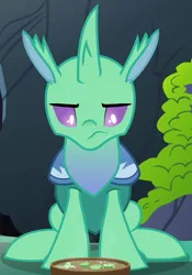 Size: 620x885 | Tagged: changedling, changeling, cropped, derpibooru import, food, safe, screencap, solo, soup, soupling, to change a changeling, unamused