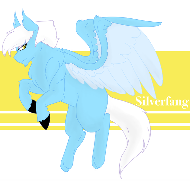 Size: 648x618 | Tagged: artist:minikitty101, blank flank, derpibooru import, facial hair, goatee, hippogriff, interspecies offspring, magical lesbian spawn, male, oc, oc:silverfang, offspring, parent:gilda, parent:rainbow dash, parents:gildash, pegasus, safe, solo, stallion, unofficial characters only, unshorn fetlocks