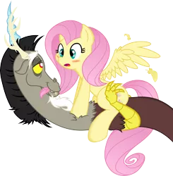 Size: 5000x5098 | Tagged: safe, artist:dfectivedvice, artist:kamyk962, derpibooru import, discord, fluttershy, draconequus, pegasus, pony, absurd resolution, age difference, bedroom eyes, biting, blushing, cute, discoshy, discute, feather, female, hair bite, male, open mouth, shipping, shyabetes, simple background, straddling, straight, transparent background, vector