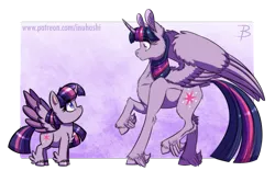 Size: 1807x1200 | Tagged: safe, artist:inuhoshi-to-darkpen, derpibooru import, twilight sparkle, twilight sparkle (alicorn), alicorn, pony, my little pony: pony life, abstract background, butt fluff, cheek fluff, chest fluff, chibi, colored pupils, colored wings, colored wingtips, confused, duality, ear fluff, eye contact, feathered fetlocks, female, fluffy, frown, generational ponidox, hoof fluff, leg fluff, looking at each other, looking down, looking up, mare, raised hoof, raised leg, self ponidox, shoulder fluff, simple background, spread wings, time paradox, transparent background, twolight, unshorn fetlocks, wide eyes, wing fluff, wings