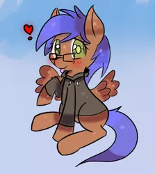 Size: 267x300 | Tagged: safe, artist:snowcicle, derpibooru import, oc, oc:odyssey flash, unofficial characters only, pegasus, pony, clothes, cute, female, glasses, hoodie, mare, solo