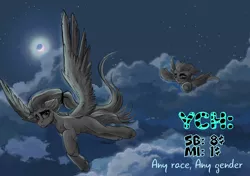 Size: 1080x760 | Tagged: artist needed, safe, artist:nikameowbb, derpibooru import, oc, oc:slots, unofficial characters only, alicorn, anthro, pegasus, pony, advertisement, any gender, any race, cloud, cloudy, commission, commission info, duo, duo female, female, flying, full body, full moon, moon, night, personal space invasion, race, race swap, sky, solo, wings, ych example, ych result, ych sketch, your character here