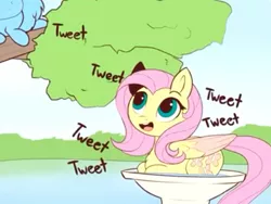 Size: 2000x1500 | Tagged: safe, artist:evehly, artist:magpie-pony, derpibooru import, edit, fluttershy, rainbow dash, pegasus, pony, behaving like a bird, chest fluff, cropped, cute, female, mare, meme, needs more jpeg, prone, river, shyabetes, tree, upscaled