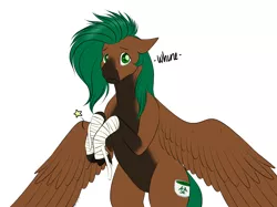Size: 2668x2000 | Tagged: safe, artist:caff, derpibooru import, oc, oc:caff, oc:caffeine hazard, unofficial characters only, pegasus, pony, bandage, floppy ears, hoof wraps, rearing, sad, simple background, solo, sore, teary eyes, wavy mouth, white background