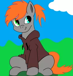 Size: 3017x3136 | Tagged: safe, artist:ambris, artist:pinkamenace, derpibooru import, edit, oc, oc:golden lotus, pony, clothes, cute, female, heterochromia, hoodie, needs more saturation, simple background, sitting, smiling, solo