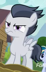 Size: 329x513 | Tagged: safe, derpibooru import, screencap, rumble, skeedaddle, pegasus, pony, unicorn, marks and recreation, colt, cropped, discovery family logo, male, solo focus