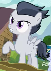 Size: 365x505 | Tagged: safe, derpibooru import, screencap, mocha berry, rumble, skeedaddle, pegasus, pony, unicorn, marks and recreation, angry, colt, cropped, discovery family logo, male, raised hoof, solo focus