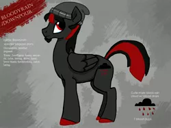 Size: 3738x2795 | Tagged: safe, artist:8loodyrain, derpibooru import, oc, oc:bloody rain, unofficial characters only, pegasus, pony, beanie, colored hooves, hat, male, pegasus oc, reference sheet, solo, stallion, wings