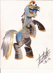 Size: 1700x2338 | Tagged: safe, artist:fizzyrox, derpibooru import, oc, oc:paladin, unofficial characters only, earth pony, pony, earth pony oc, male, rearing, signature, stallion, traditional art