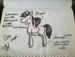 Size: 2048x1536 | Tagged: safe, artist:cookiesandcakes, derpibooru import, oc, unofficial characters only, alicorn, pony, alicorn oc, eye clipping through hair, female, grin, horn, lined paper, mare, reference sheet, smiling, solo, spanish, traditional art, wings