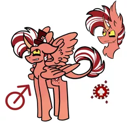 Size: 884x858 | Tagged: safe, artist:hunterthewastelander, derpibooru import, oc, oc:jackpot chance pie, unofficial characters only, alicorn, pony, alicorn oc, bust, frown, hat, horn, interspecies offspring, male, offspring, parent:discord, parent:pinkie pie, parents:discopie, reference sheet, simple background, smiling, smirk, stallion, story included, top hat, white background, wings