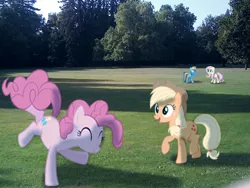 Size: 548x411 | Tagged: safe, artist:bastbrushie, derpibooru import, applejack, fluttershy, pinkie pie, rainbow dash, earth pony, pony, unicorn, garden, irl, photo, ponies in real life