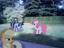 Size: 548x411 | Tagged: safe, artist:bastbrushie, derpibooru import, applejack, pinkie pie, twilight sparkle, earth pony, pony, unicorn, france, fuck the police, garden, irl, photo, ponies in real life