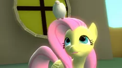 Size: 1600x900 | Tagged: safe, artist:bastbrushie, derpibooru import, fluttershy, bird, pegasus, pony, 3d, gmod