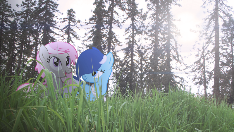 Size: 4000x2254 | Tagged: safe, artist:bastbrushie, derpibooru import, oc, oc:brushie brusha, oc:sweet shutter, pony, irl, photo, ponies in real life, tree