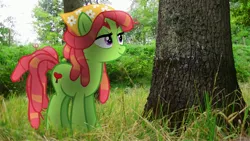 Size: 3840x2160 | Tagged: safe, artist:bastbrushie, artist:thebosscamacho, derpibooru import, tree hugger, pony, forest, irl, photo, ponies in real life, shadow, smiling, solo, tree, vector